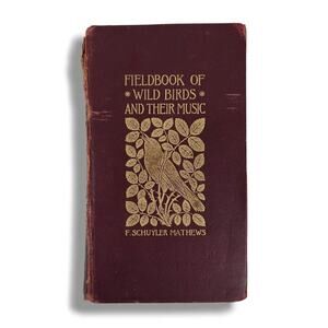 Fieldbook of Wild Birds & Their Music Color Plates F Schuyler Mathews 1905 Book